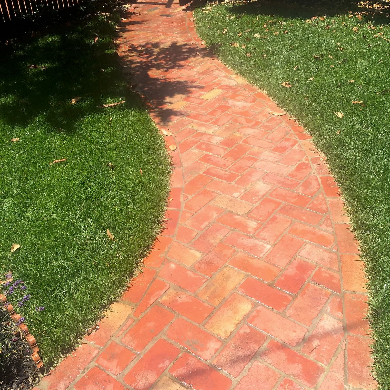 Curved brick garden path by Cam Wells Paving